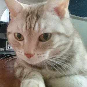 プロフィール画像：かずちん