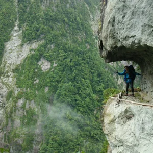 プロフィール画像：藤谷ぽきお