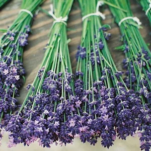 プロフィール画像：ともみ