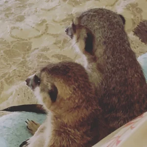 プロフィール画像：高田 あき