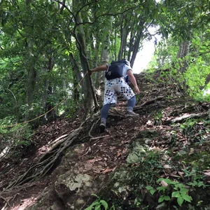 プロフィール画像：Tetsuya Mtsumoto