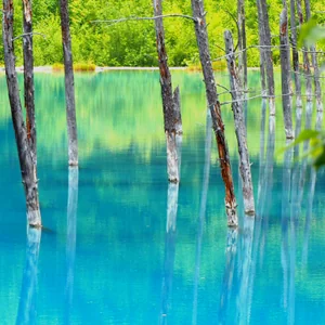 プロフィール画像：＊m.k 。.:*:・'°☆