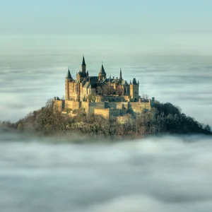 プロフィール画像：OHATA Satoru