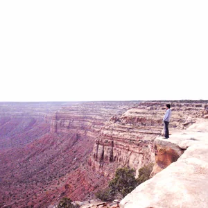 プロフィール画像：Soichiro Tanaka