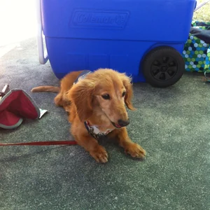 プロフィール画像：タラオ