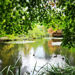 プロフィール画像：kujiraooji