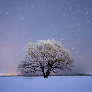 プロフィール画像：hide_ftgrfy